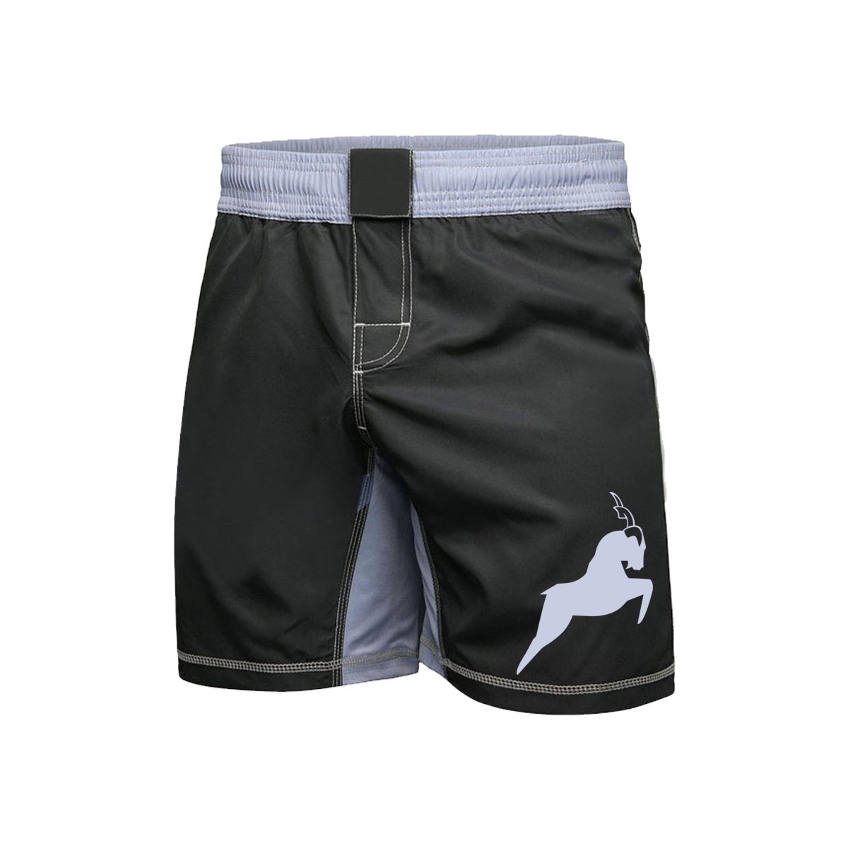 MMA Shorts